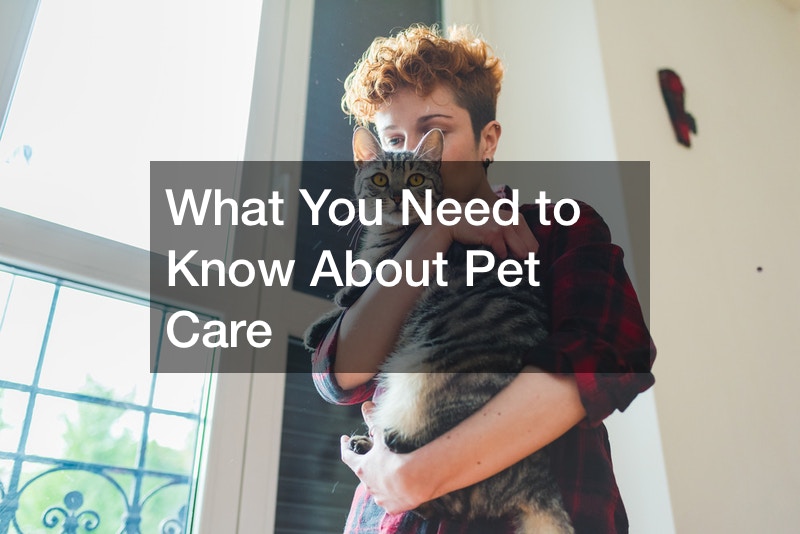 What You Need to Know About Pet Care