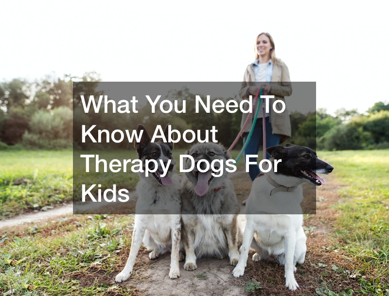 What You Need To Know About Therapy Dogs For Kids