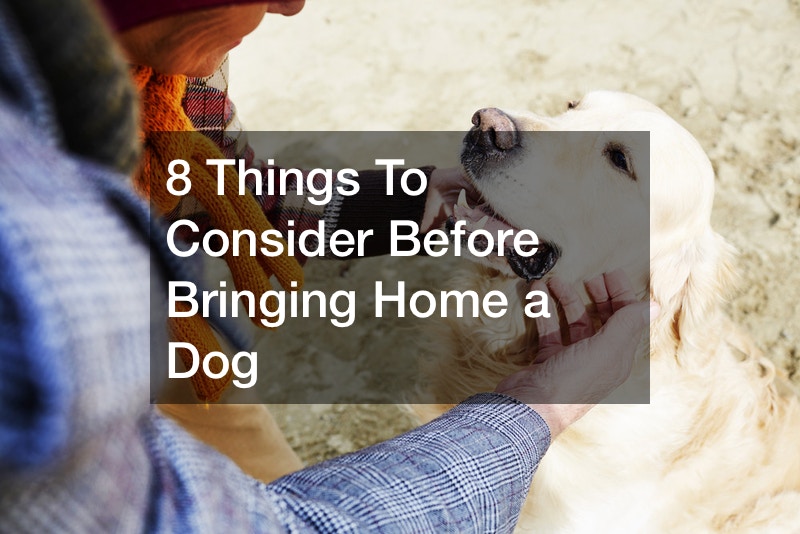 what to check before buying a dog