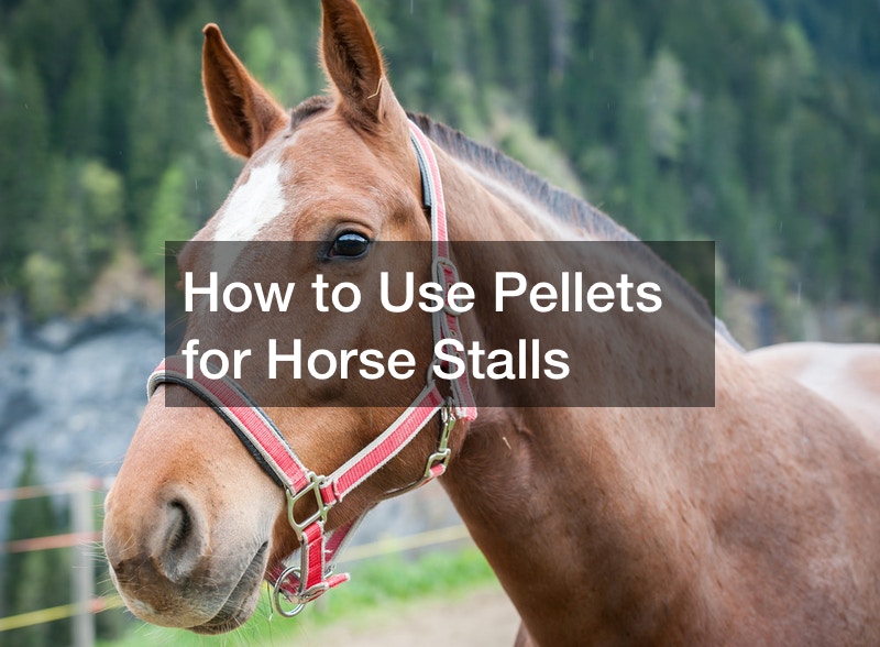 How to Use Pellets for Horse Stalls
