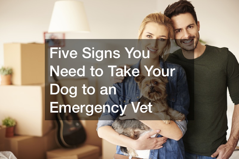 Five Signs You Need to Take Your Dog To an Emergency Vet