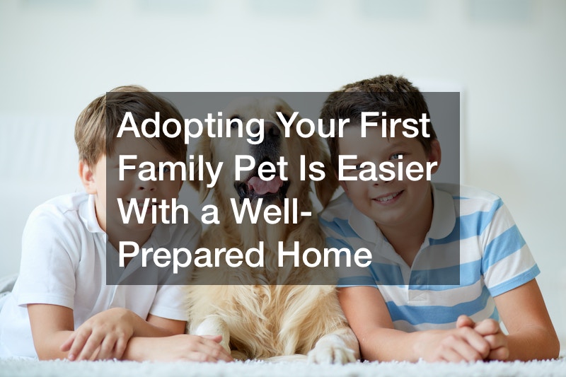 Adopting Your First Family Pet Is Easier With a Well-Prepared Home