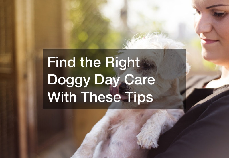Find the Right Doggy Day Care With These Tips