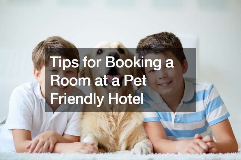Tips for Booking a Room at a Pet Friendly Hotel