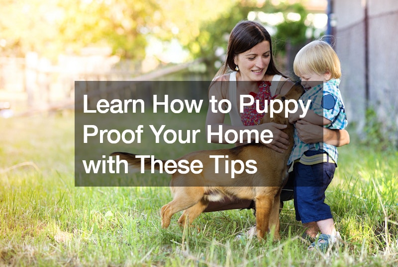 Learn How to Puppy Proof Your Home with These Tips