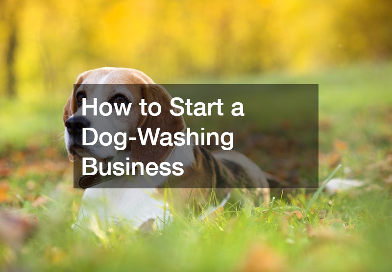 How to Start a Dog-Washing Business